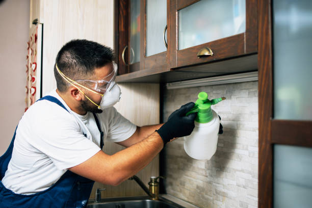 Best Affordable Pest Control Services  in Ovilla, TX