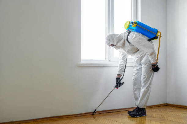 Reliable Ovilla, TX Pest Control Solutions