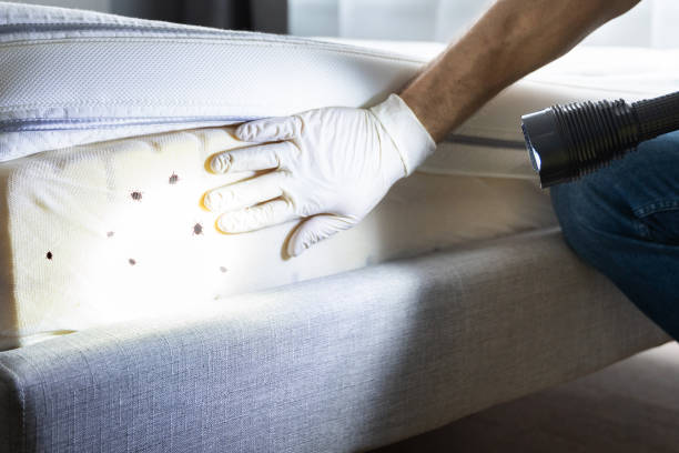Best Best Pest Control Companies  in Ovilla, TX